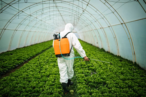 Best Pest Removal Services  in Ocean City, MD