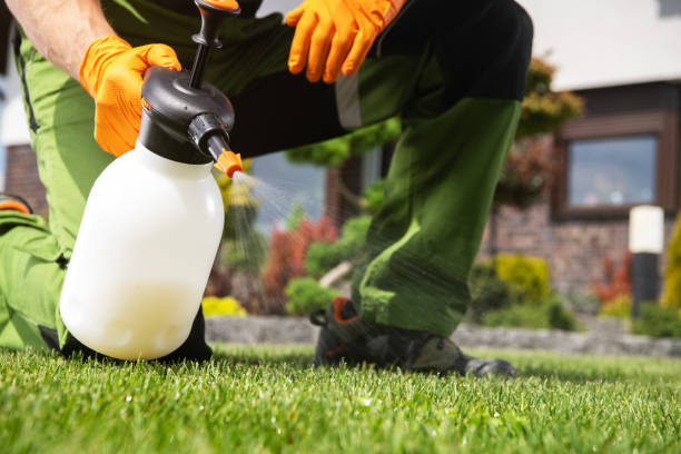 Best Pest Inspection Near Me  in Ocean City, MD