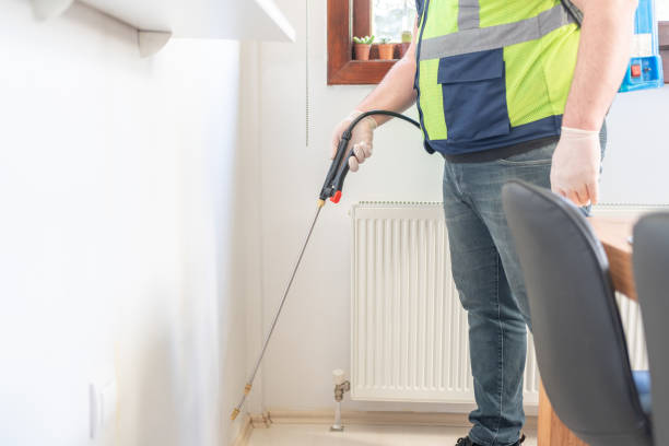 Best Local Pest Control Services  in Ocean City, MD