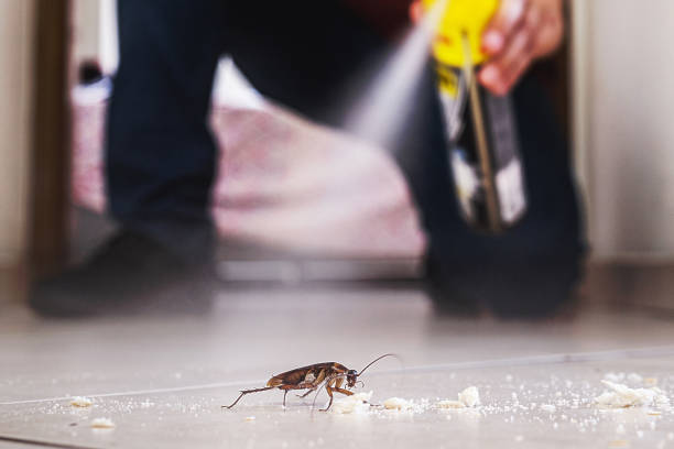 Flea Control Services in Ocean City, MD