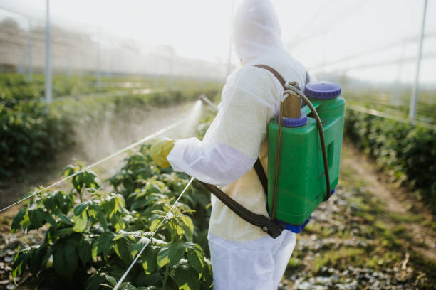 Best Wasp Removal Services  in Ocean City, MD
